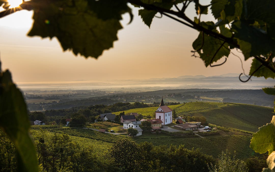 Vina Frešer